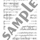 Popular and Classical music Selection: Violin Duo and Piano (Upper-Intermediate) w/CD(Piano Accompaniment Tracks) Sheet Music Book