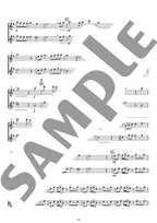 Studio Ghibli Duo Selection: Flötenduett und Klavier (Obere Mittelstufe) mit CD (Klavierbegleitungsstücke), Notenbuch