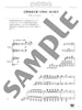 Classical music Best Selection Piano Duet(Intermediate) Sheet Music Book