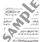 Piazzolla-Konzertrepertoire für Violine und Klavier (obere Mittelstufe) mit CD (Klavierbegleitung), Notenbuch