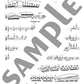 Concert Repertoire for Violin and Piano(Advanced) w/CD(Piano Accompaniment Tracks) Sheet Music Book