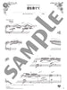 Beliebte Lieder für Klavier Solo (Mittel) Notenbuch