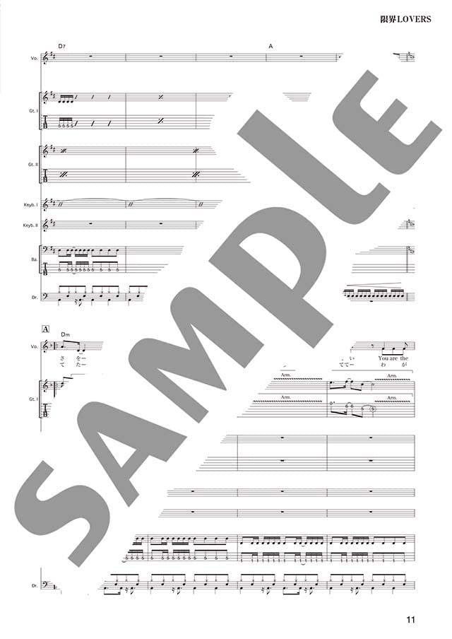 Rook Band Score; SHOW-YA Best Selection - Sheet Music Book