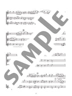 Ensemble de Anime für Flöte solo (Vorstufe) Notenbuch