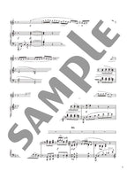 Concert Repertoire for Flute and Piano - Debussy / Ravel - Reference Performance Video Included - Sheet Music Book