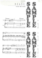 Berühmte japanische traditionelle Lieder für Flöte solo mit Klavier (Mittelstufe) (Karaoke-CD) - Notenbuch