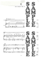 Berühmte japanische traditionelle Lieder für Flöte solo mit Klavier (Mittelstufe) (Karaoke-CD) - Notenbuch