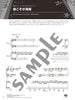 Recital Duet Selection: Piano Duet (Intermediate) - Sheet Music Book