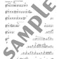 The Best Hit 51 for Flute Solo(Intermediate) Sheet Music Book