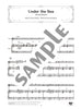 Disney Songs für Flöte und Klavier 2 (Mittelstufe) Notenbuch / englische Version