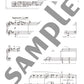 Beeindruckendes Klaviersolo: Disney Princess Collection (Easy) Notenbuch