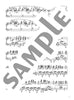 Animenz Notenbuch: Beliebte Anime-Songs 2 für Klavier Solo (Fortgeschritten)