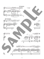 Notenbuch „Masterpiece Collection“ für Flöte und Klavier (Mittelstufe).