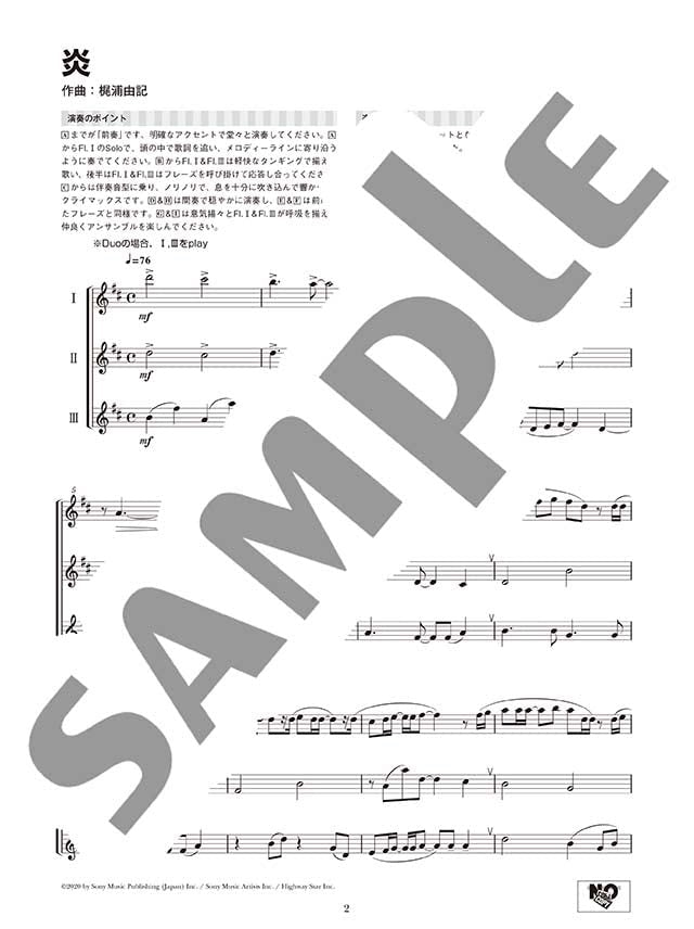 Standard Collection Flötenduo/Trio-Ensemble (Pre-Intermediate) Notenbuch