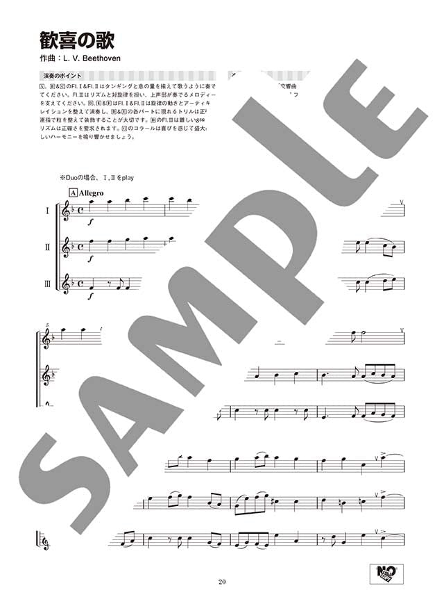 Standard Collection Flötenduo/Trio-Ensemble (Pre-Intermediate) Notenbuch