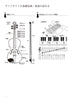 Studio Ghibli Collection Violin and Piano(Easy) w/CD(Demo Performance/Piano Accompaniment Tracks) Sheet Music Book