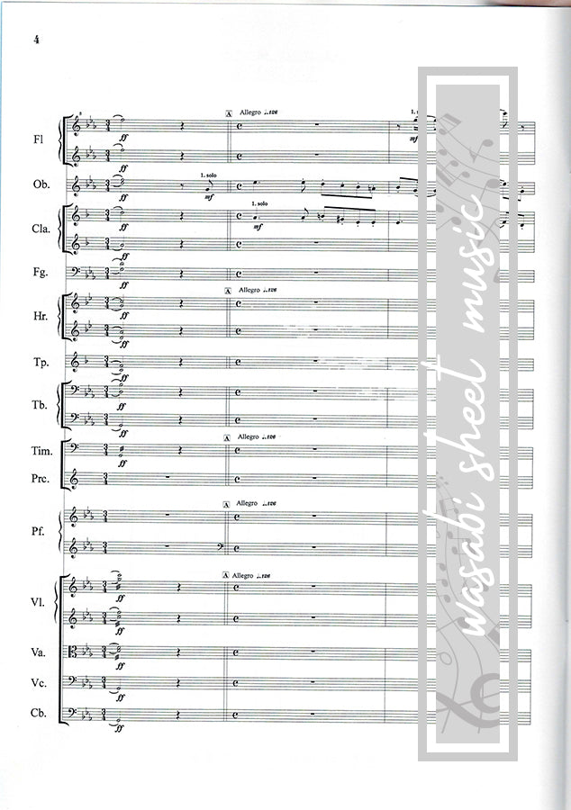 Carrying You(Kimi wo Nosete) from "Laputa: Castle in the Sky": Orchestra(Score and Parts) Sheet Music Book