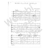 Woodwinds Quintet "Happy Party Music Medley Collection" Sheet Music Book