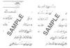 Die Sammlung von Standardliedern für Posaune Solo mit CD (Backing Tracks) (Obere Mittelstufe) Notenbuch