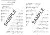 Die Sammlung cooler Lieder für Trompete und Klavier (Obere Mittelstufe) Notenbuch