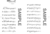Standardrepertoire-Notenbuch für Klarinette Solo (obere Mittelstufe).