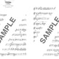 Popular and Standard Songs Alto Saxophone Solo for Teenagers Sheet Music Book