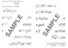 Die Sammlung cooler Songs für Altsaxophon und Klavier (obere Mittelstufe) Notenbuch