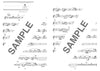 Die Sammlung cooler Songs für Altsaxophon und Klavier (obere Mittelstufe) Notenbuch