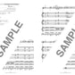 SIAM SHADE "SIAM SHADE IV Zero" Band Score Sheet Music Book