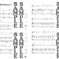 Studio Ghibli-Sammlung für Violine und Klavier (Mittelstufe) Notenbuch