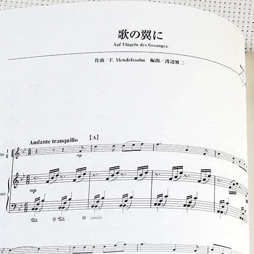 Classic Music Collection Erhu Solo Sheet Music Book w/CD