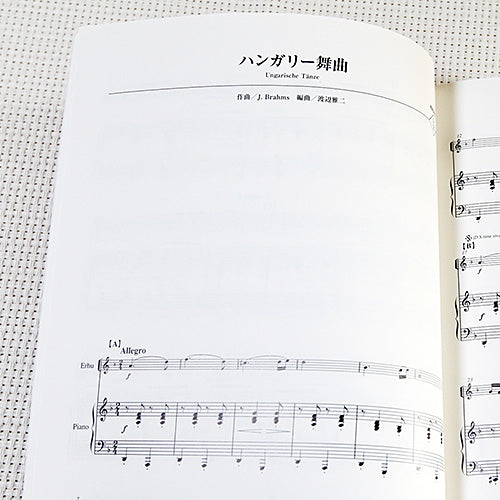 Classic Music Collection Erhu Solo Sheet Music Book w/CD