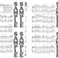 Studio Ghibli-Sammlung für Gitarrensolo mit CD (Demo-Aufführung) (Mittelstufe) Notenbuch