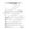 Disney Concert Advanced Repertory Violin Sheet Music Book w/CD